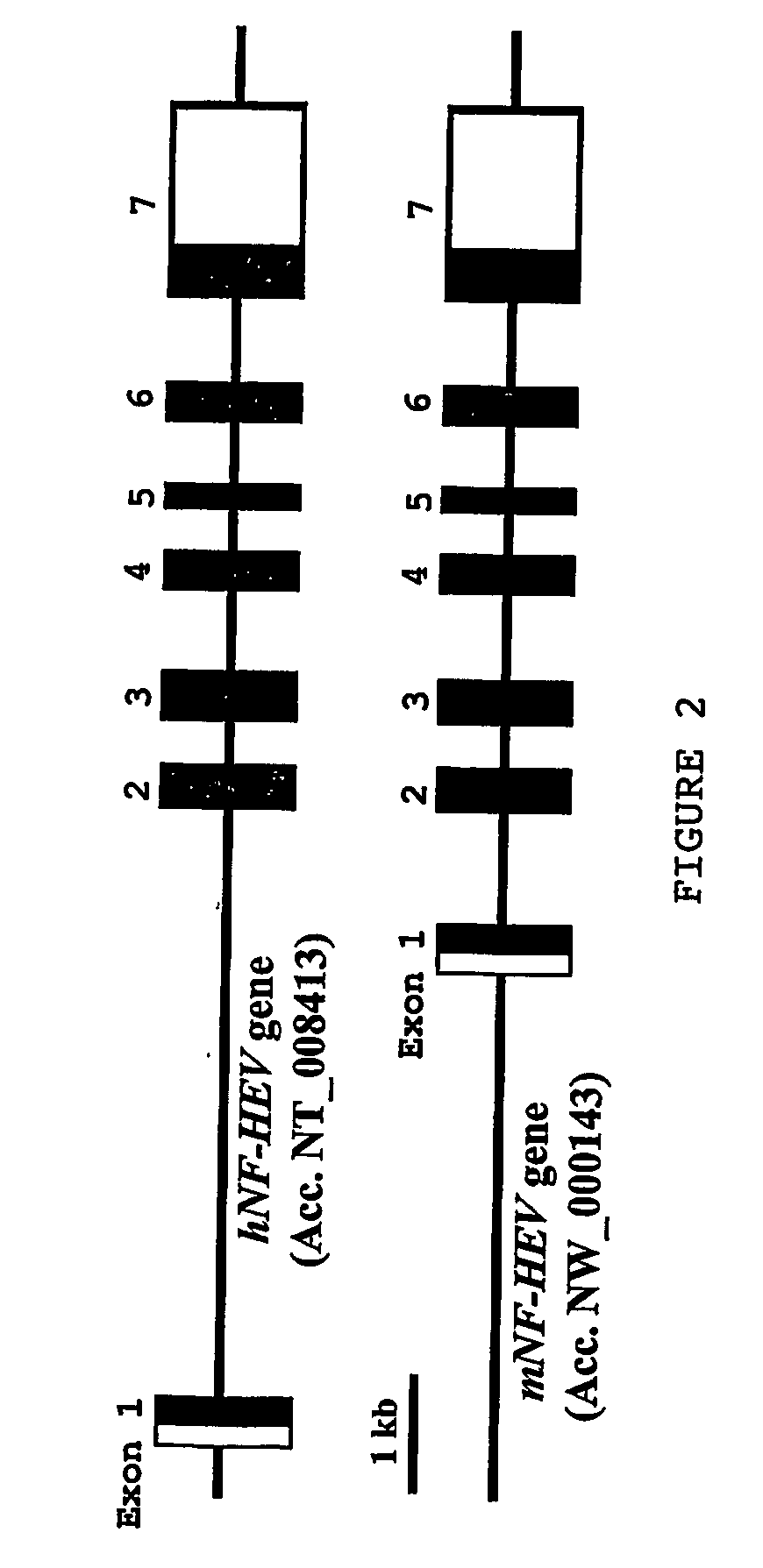 Nf-hev compositions and methods of use