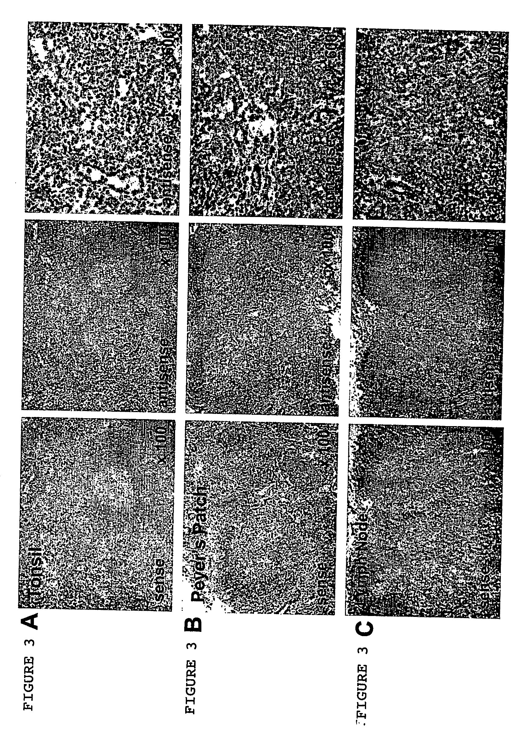 Nf-hev compositions and methods of use