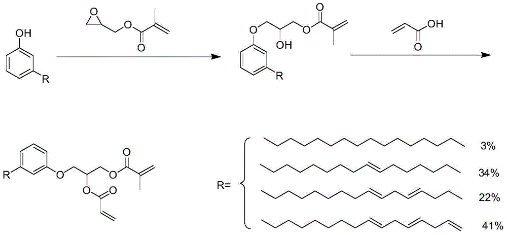 Cardanol unsaturated resin monomer and preparation method thereof