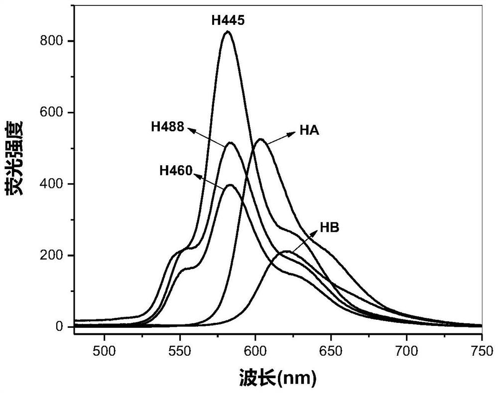 Perylenequinone compound, preparation method and application thereof