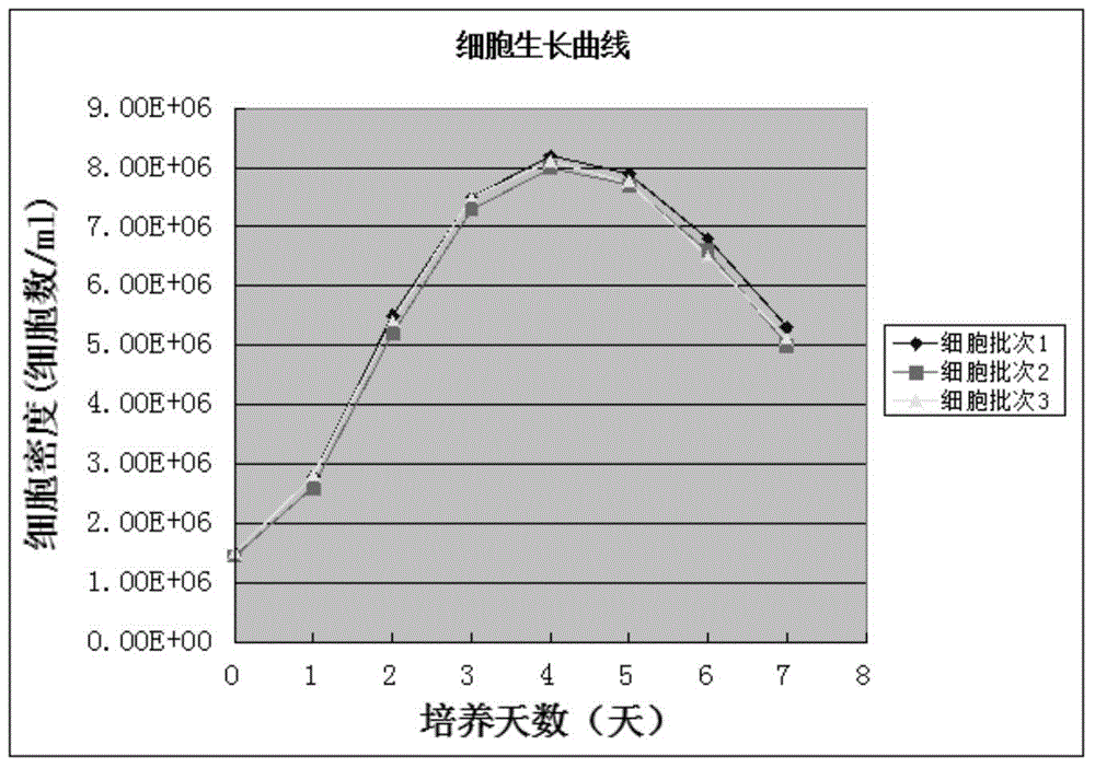 High yield baculovirus insect cell line and application thereof