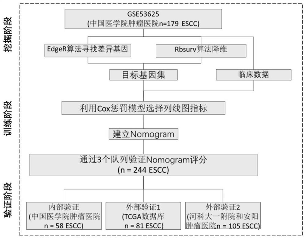 A prognostic early warning system for esophageal squamous cell carcinoma and its application