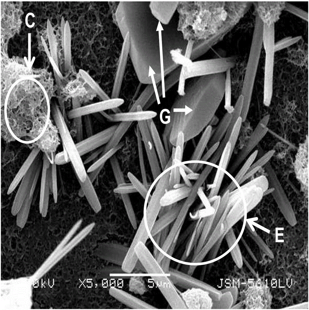 A phosphogypsum-based cementitious material and its application in mine tailings filling