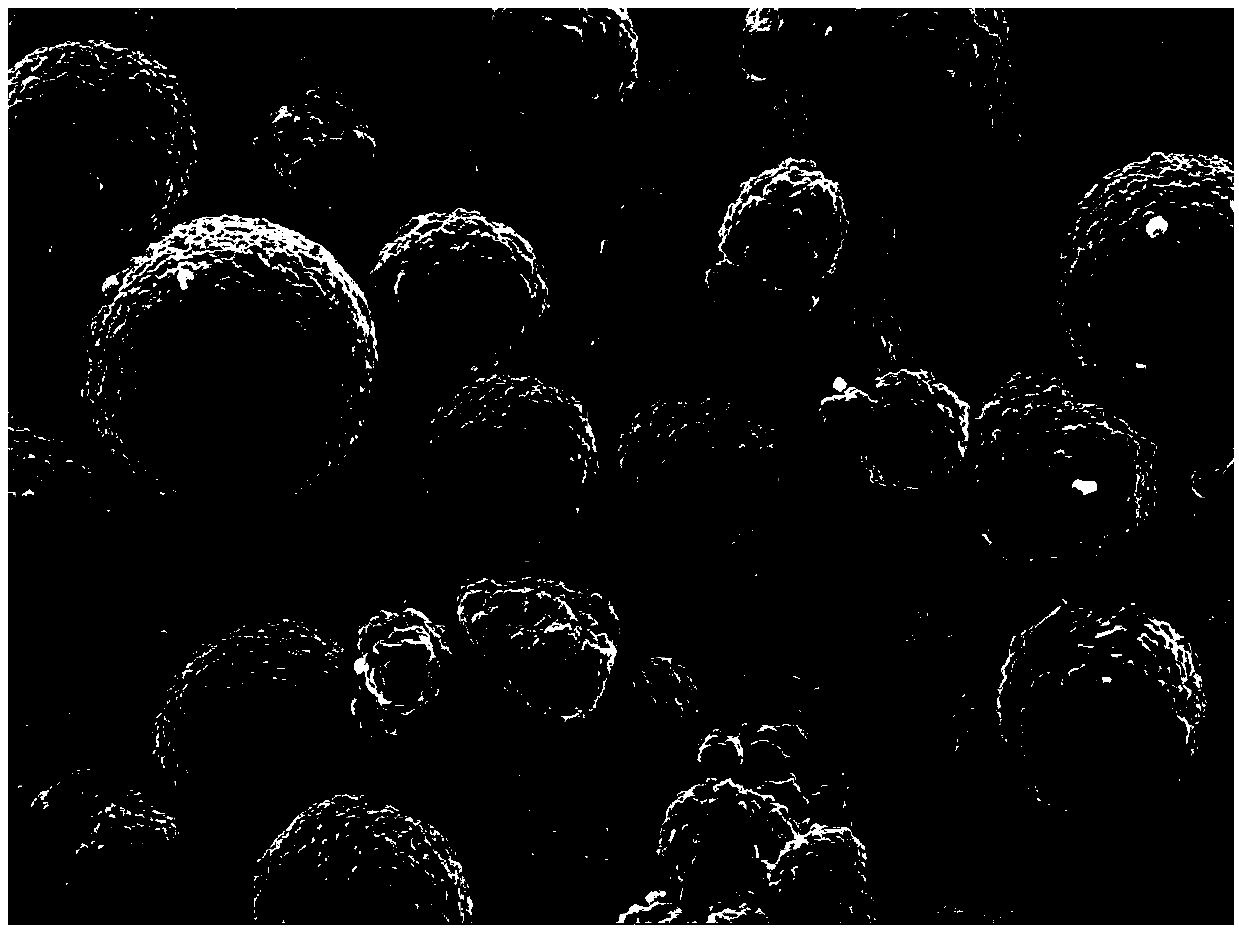 Y-doped CaMnO3 coated ternary positive electrode material and preparation method thereof