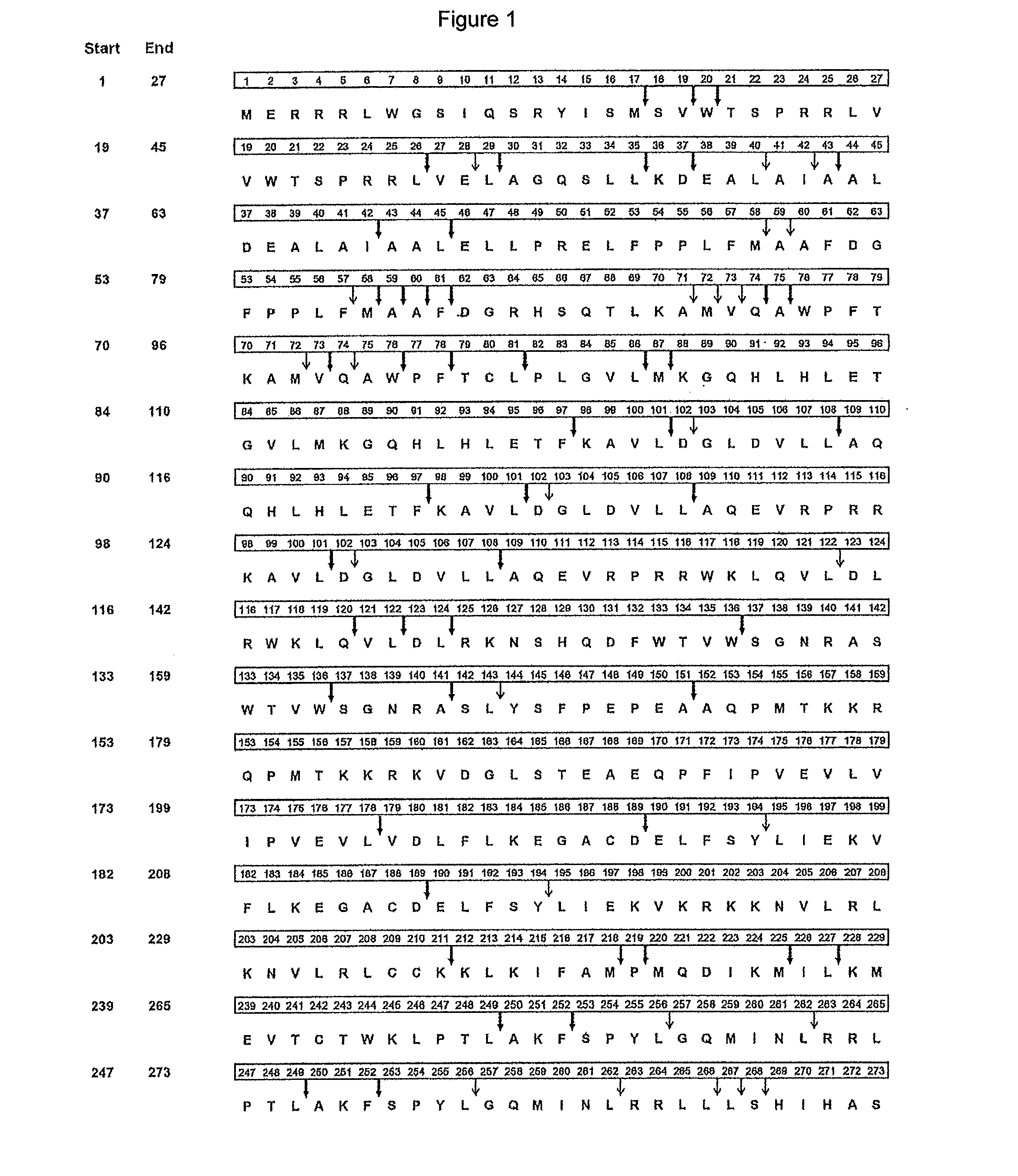 Prame derived peptides and immunogenic compositions comprising these