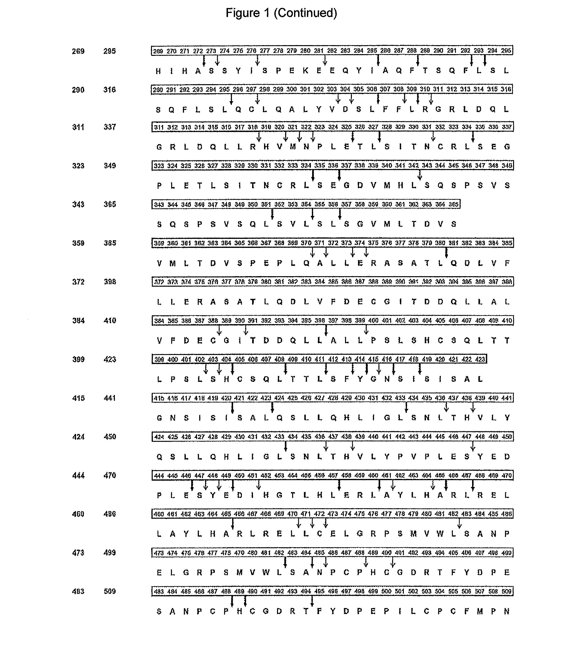 Prame derived peptides and immunogenic compositions comprising these