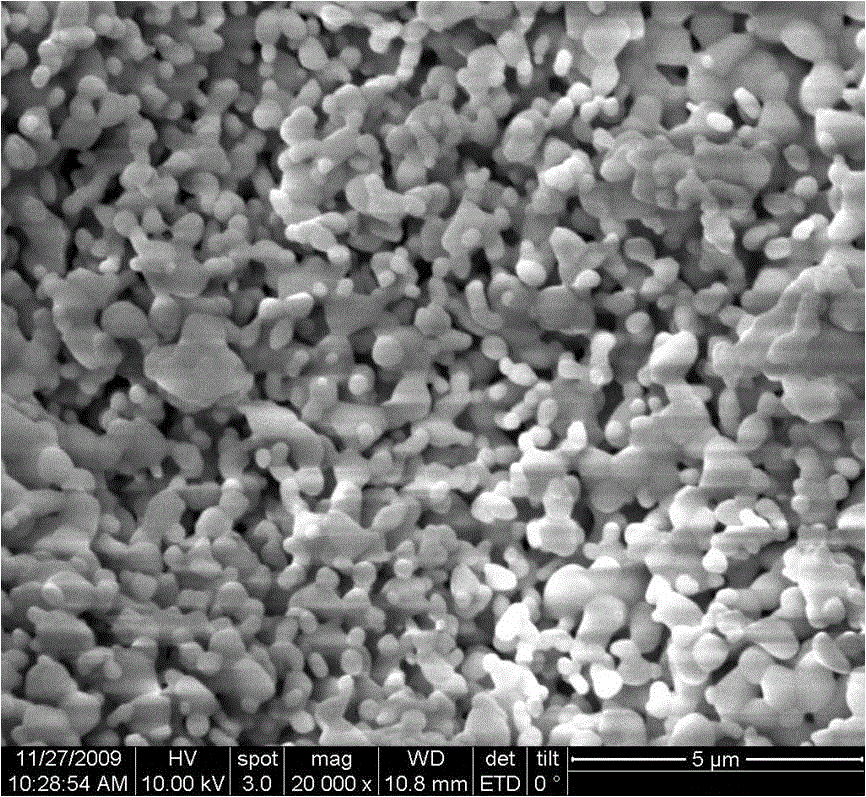 Preparation method and application of catalyst of novel light degradation phosphate organic dye