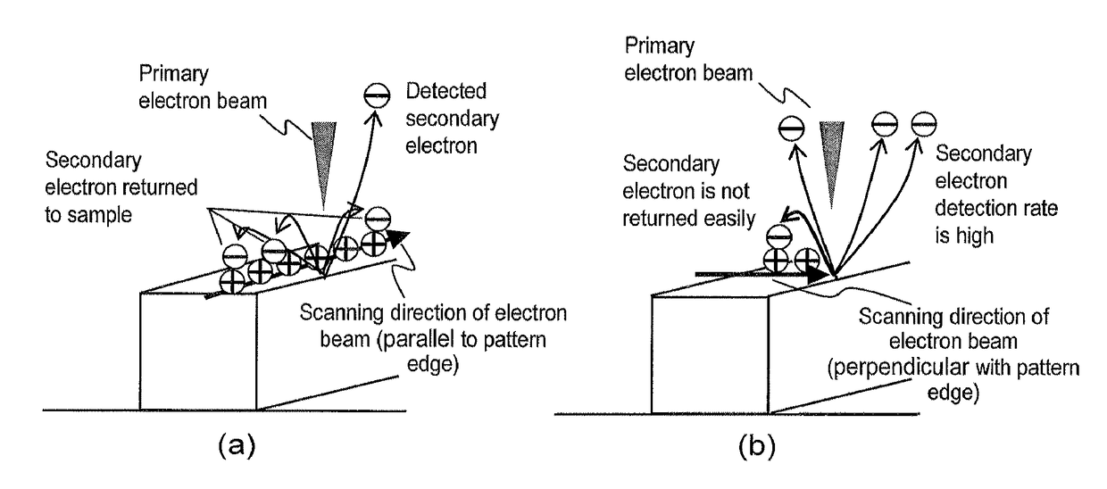Scanning electron microscope and sample observation method