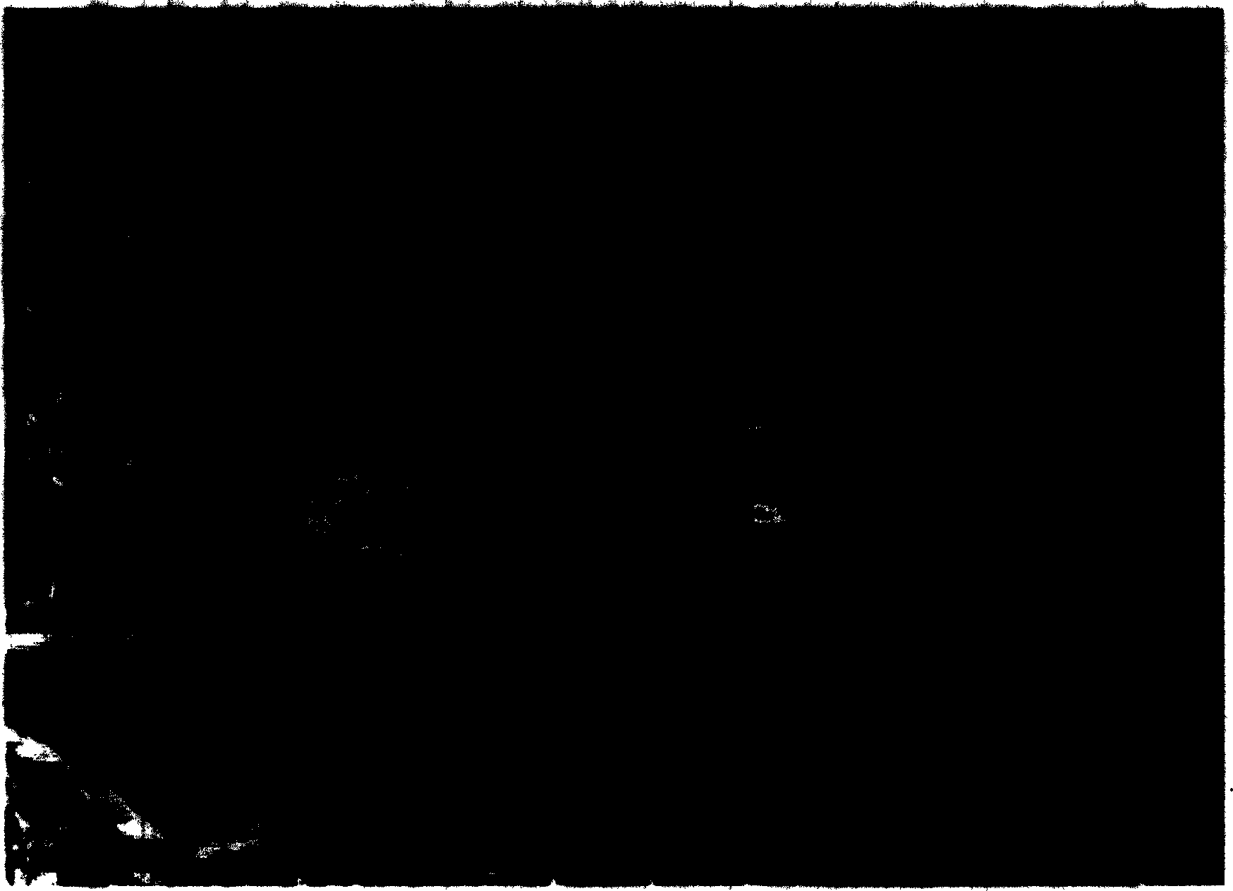 Organism tissue staining method