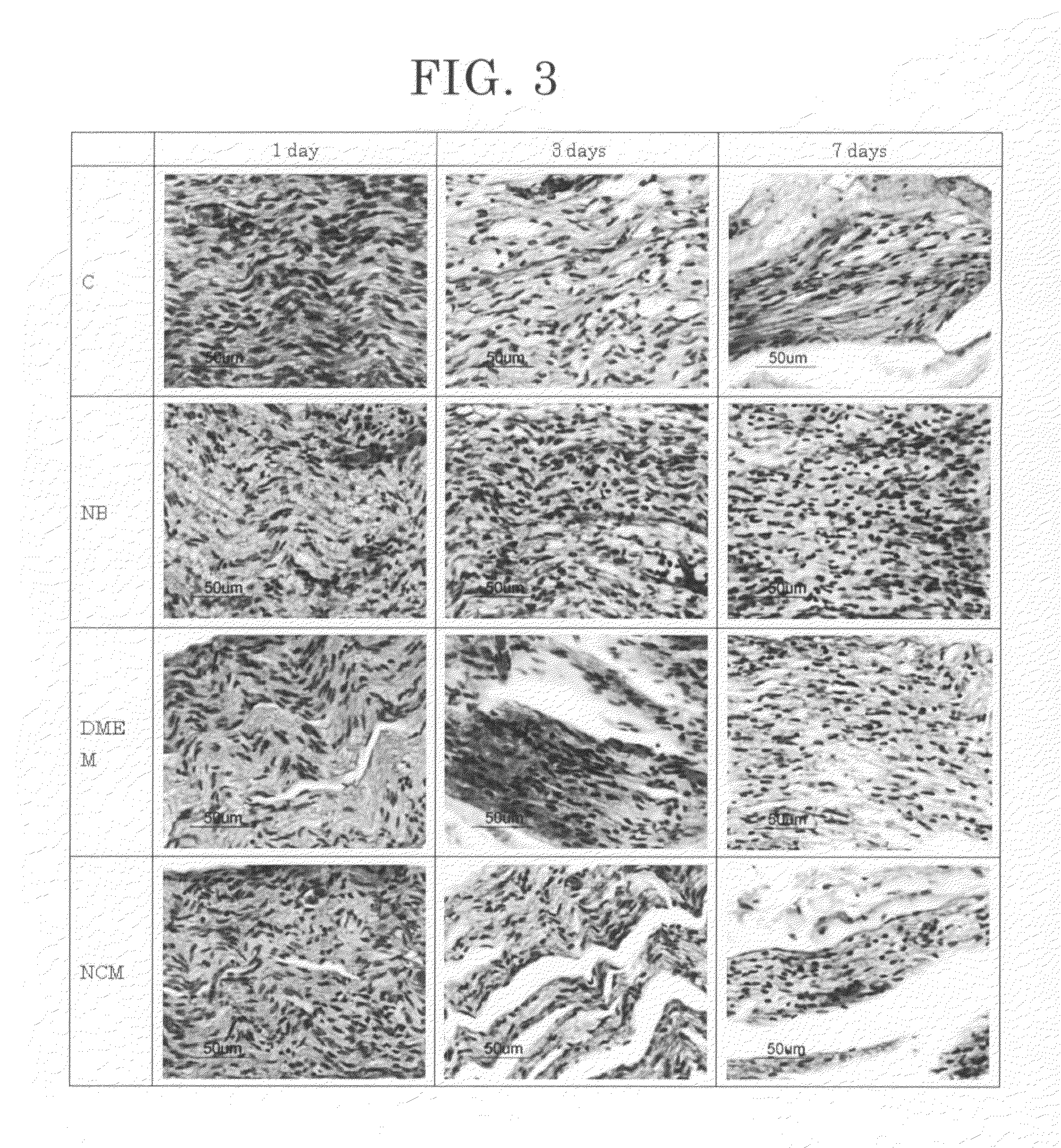 Tissue preservation method comprising contacting tissue with a solution of nanobubbles and salt