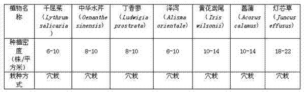 Method for improving diversity of plants in lakeside zone