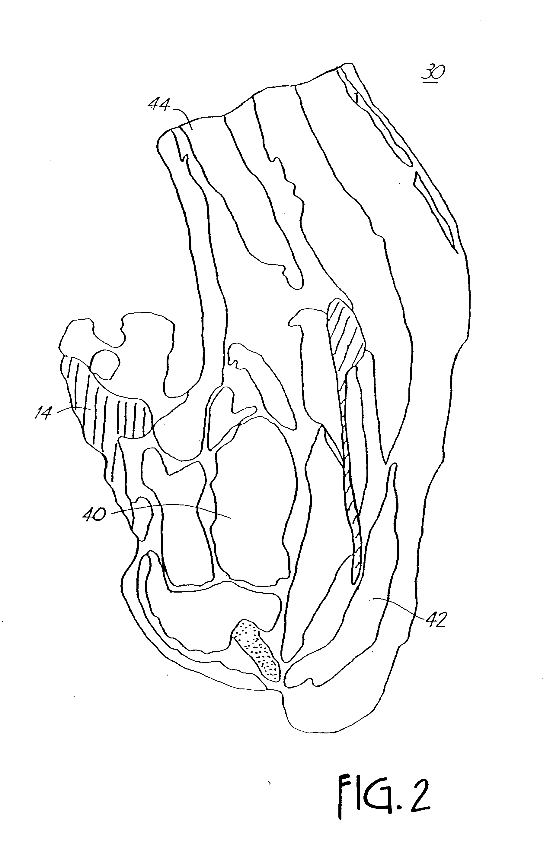 Method and Apparatus for Tenderizing Meat