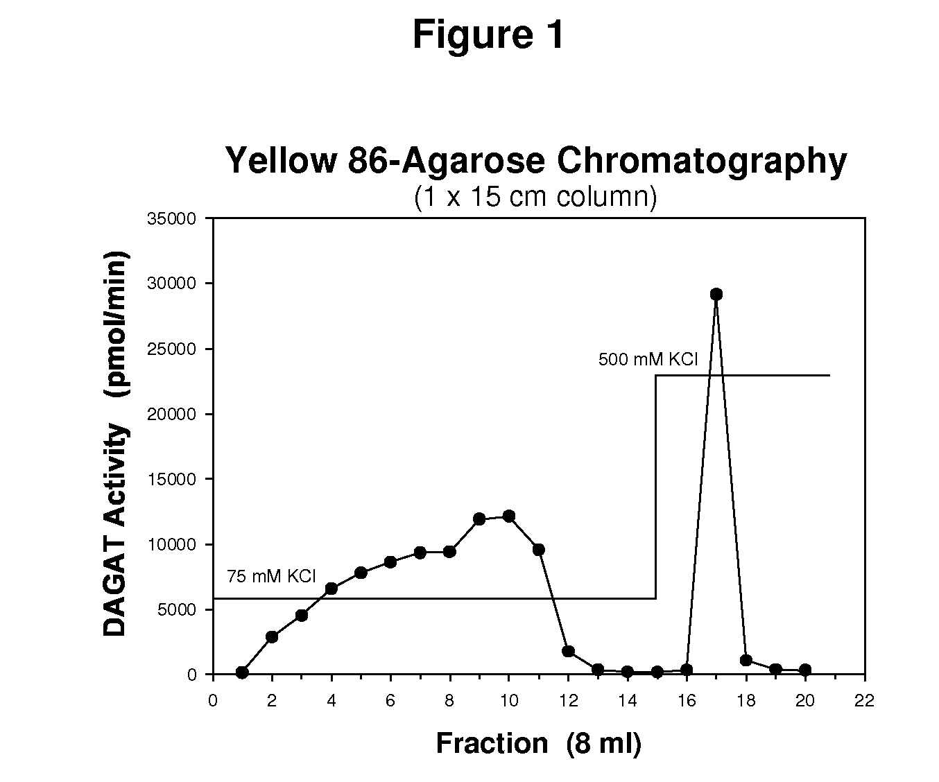 Diacylglycerol acyl transferase proteins