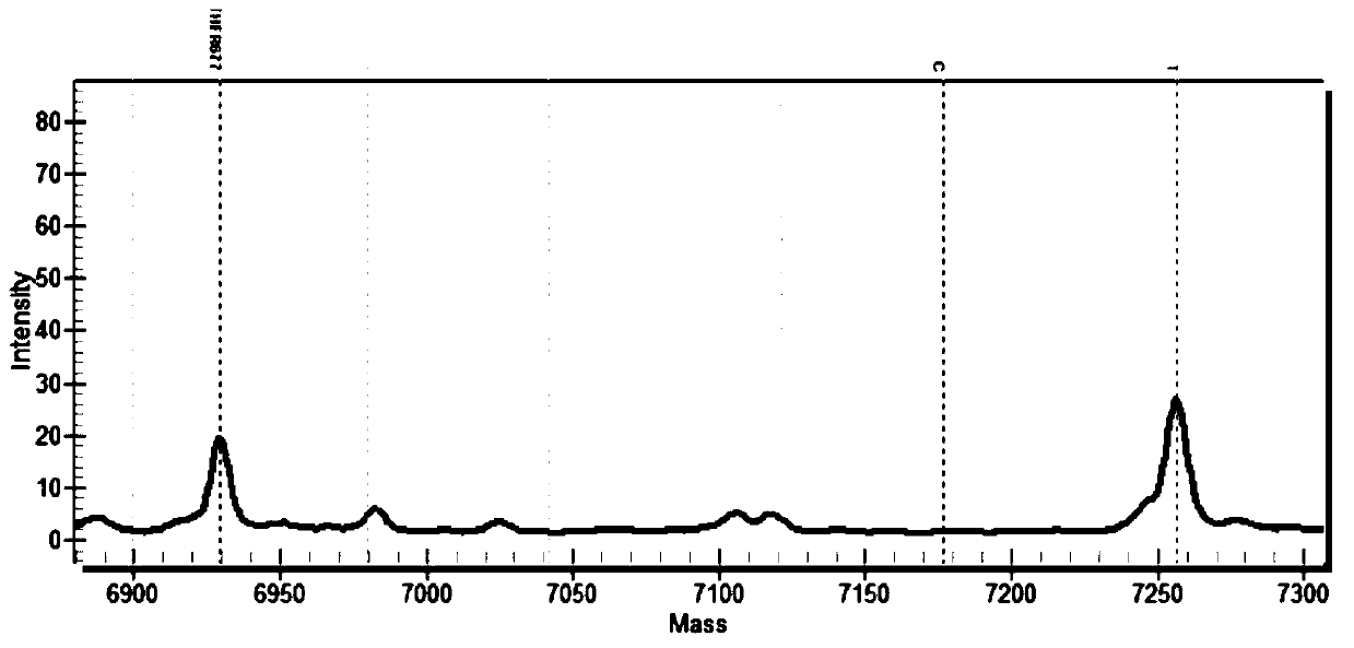 Nucleic acid composition and reagent kit for detecting cardiovascular disease medication related genes based on nucleic acid mass-spectrometric technique, and detection method