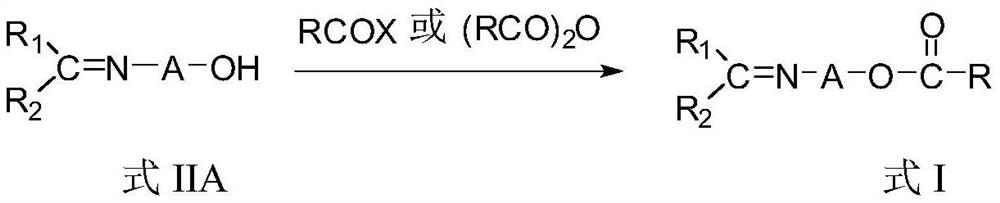 Novel imine compound and preparation method thereof