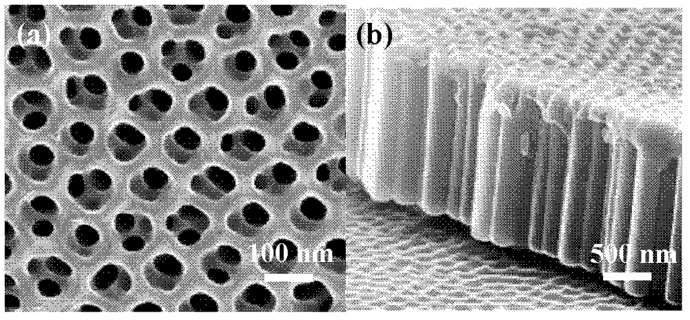 Method for performing photoelectrolysis of water and preparing hydrogen by using palladium quantum dot modified titanium dioxide nanotube array