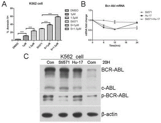 Application of compound Hu-17 single or combined tyrosine kinase inhibitor to preparation of medicine for treating chronic myelogenous leukemia