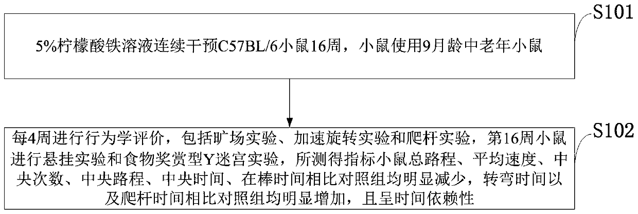 Chronic food-borne Parkinson's disease mouse model and building method and application thereof