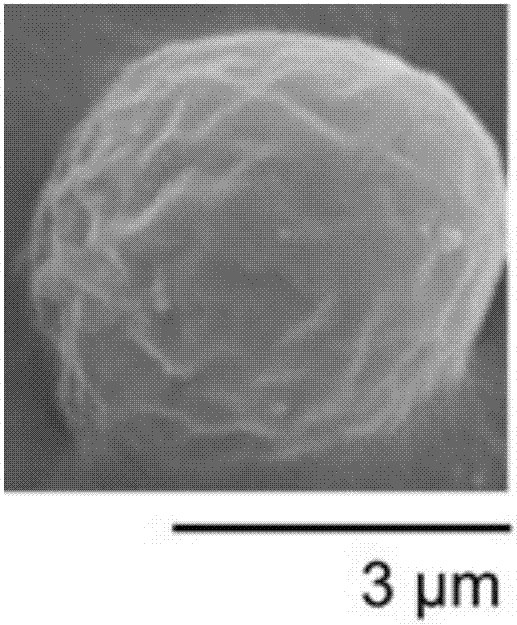 Live yeast cell facial mask as well as preparation method and application method thereof