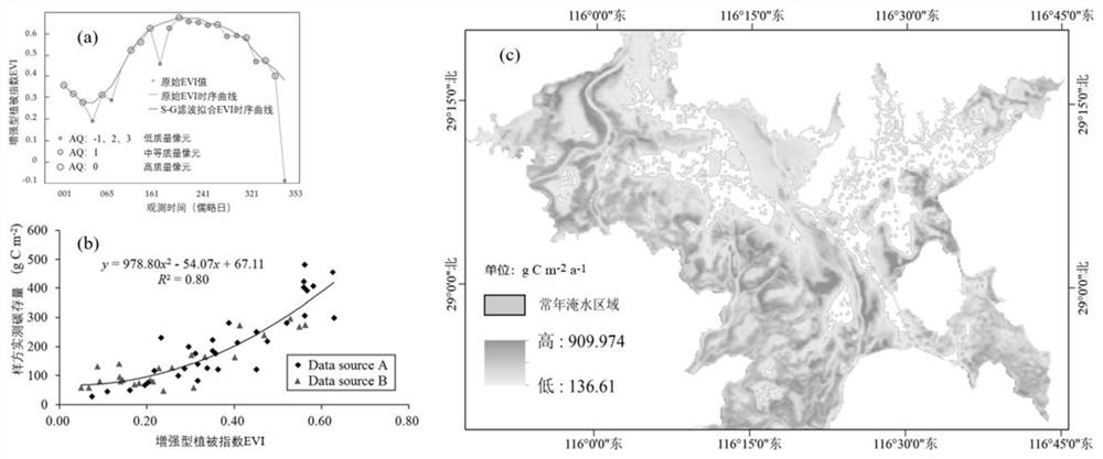 Wetland vegetation carbon sequestration rate prediction method based on relation between key water regimen variables and vegetation carbon sequestration rates