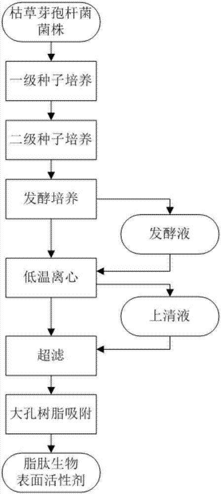 Bacillus subtilis LPB-3, lipopeptide type biosurfactant and biodegradable environment-friendly glass cleaning liquid