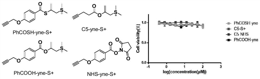 Method for marking protein