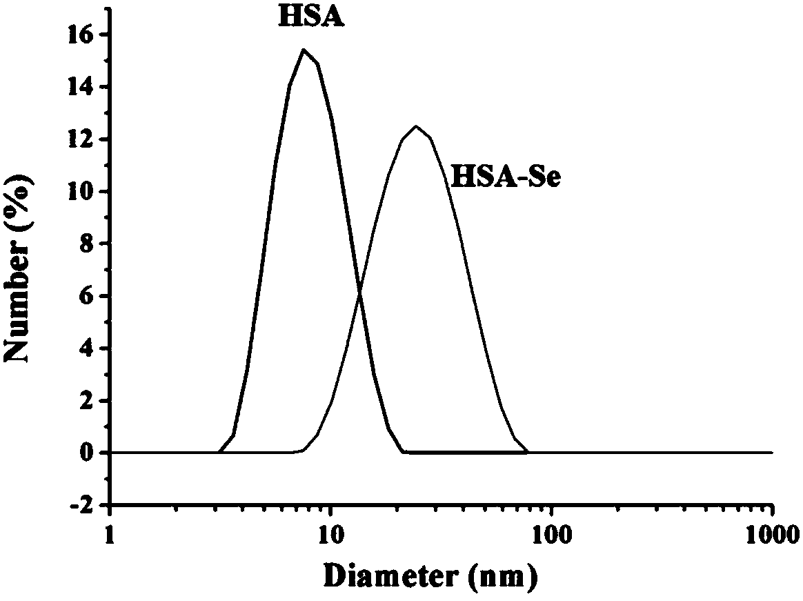 Protein combined nanometer selenium, and preparation method and applications thereof