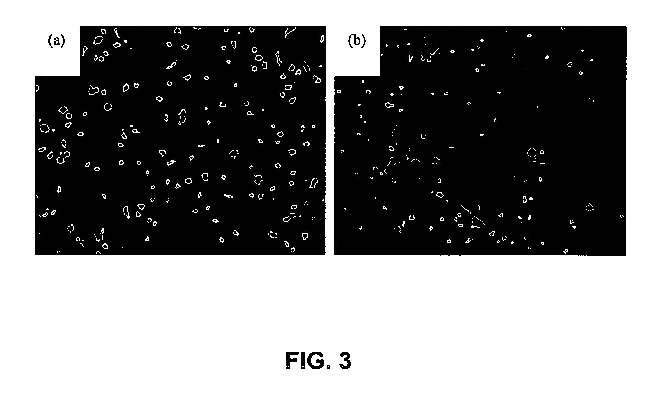 Nanostructure surface coated medical implants and methods of using the same