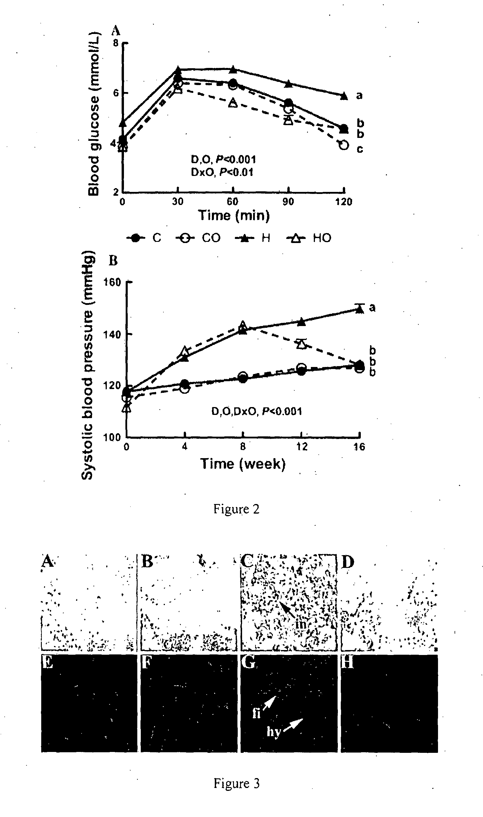 Modified polyphenols and modified polyphenol compositions
