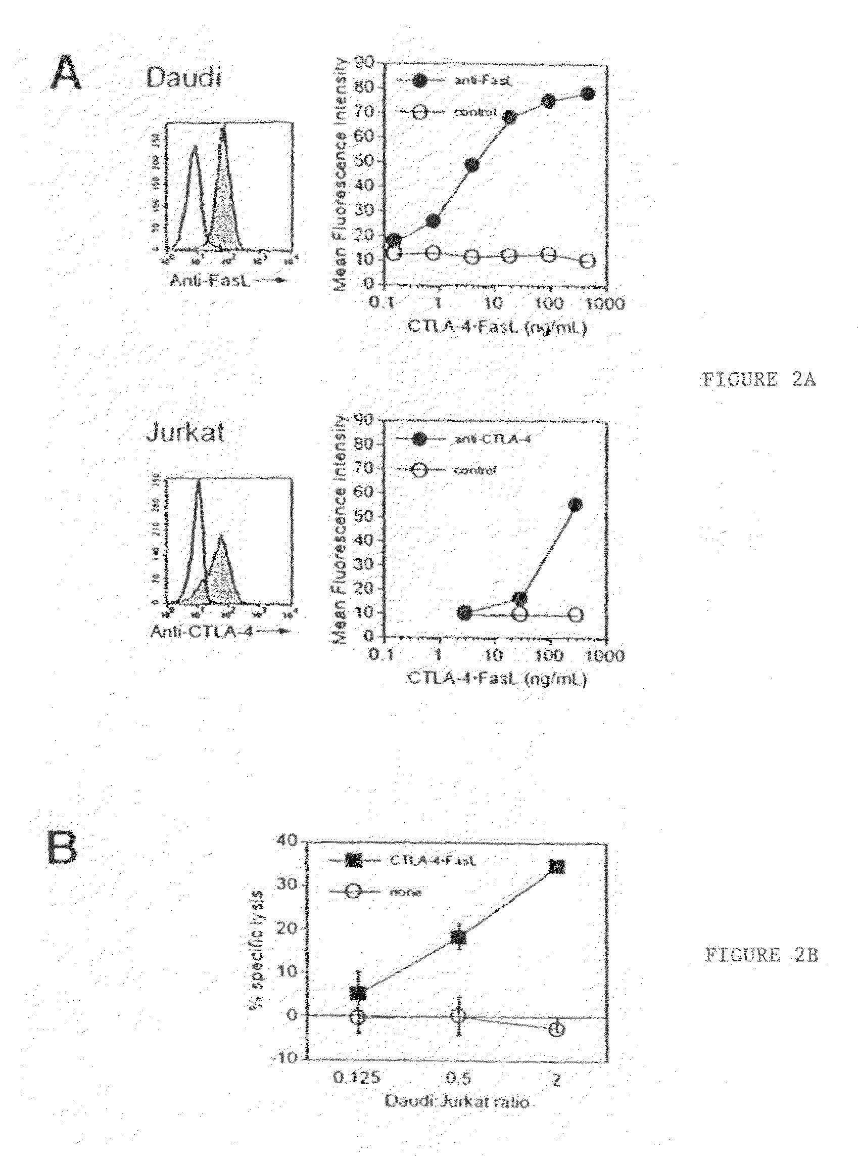 Chimeric proteins and methods for using the same