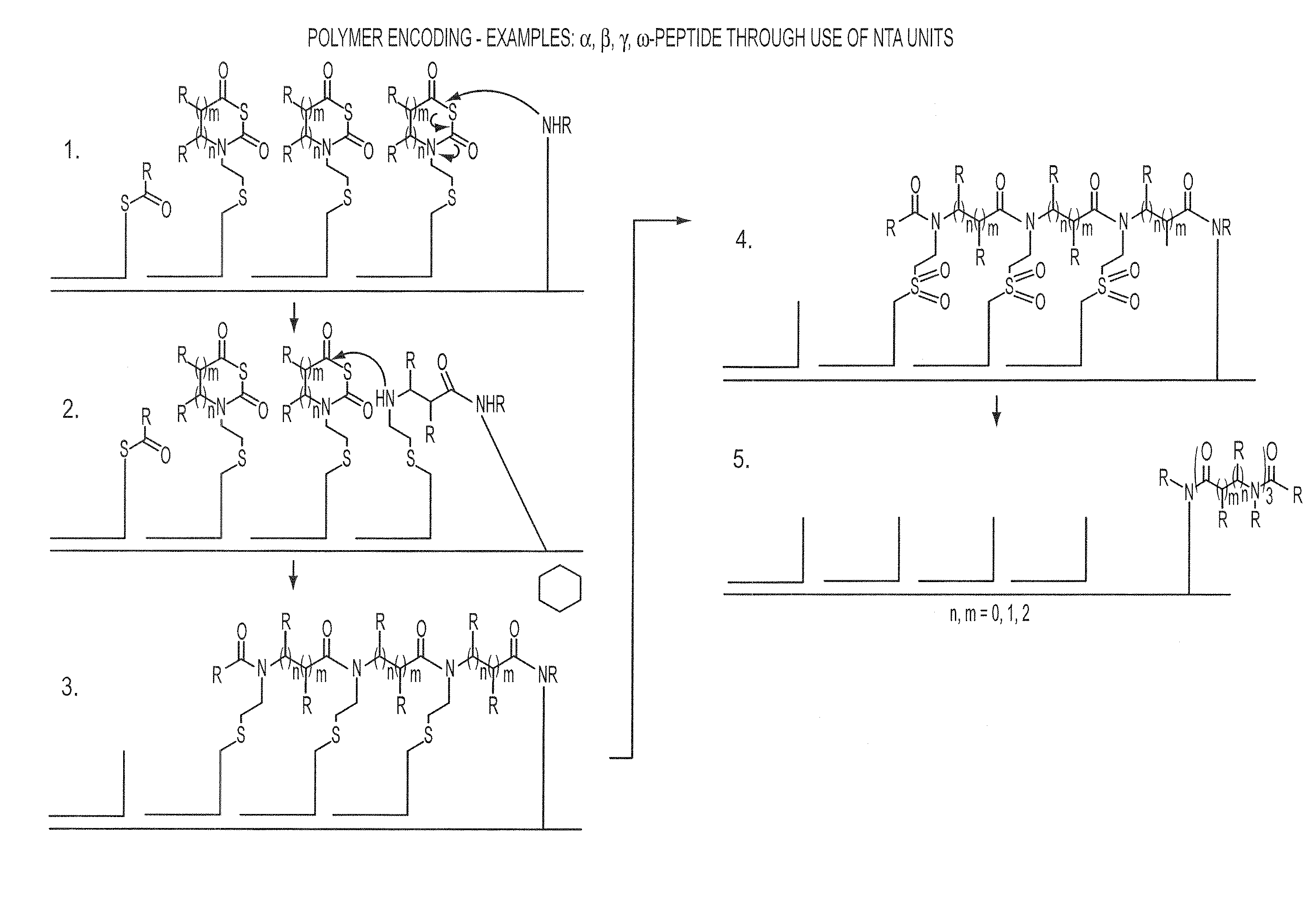 Templated molecules and methods for using such molecules