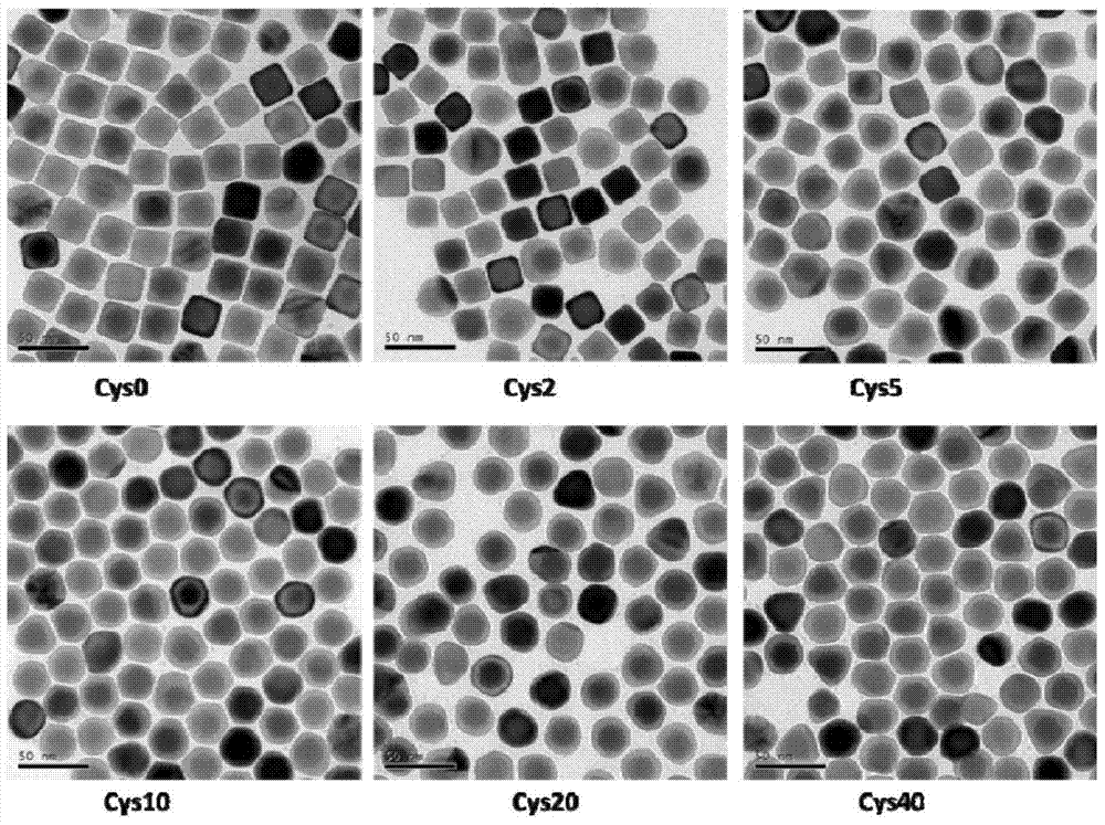 A kind of method and its application of promoting the re-growth of silver on the surface of gold nanosphere