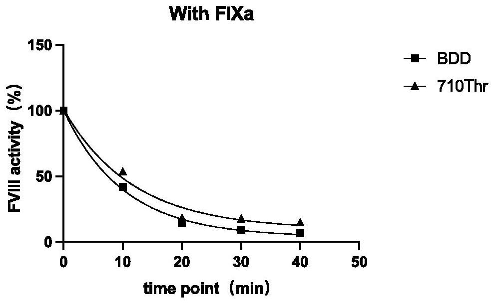 High-activity blood coagulation factor VIII or VIII polypeptide variant Gly710Thr