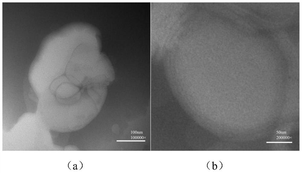 Repairing essence containing peony seed oil nano-liposome and preparation method thereof