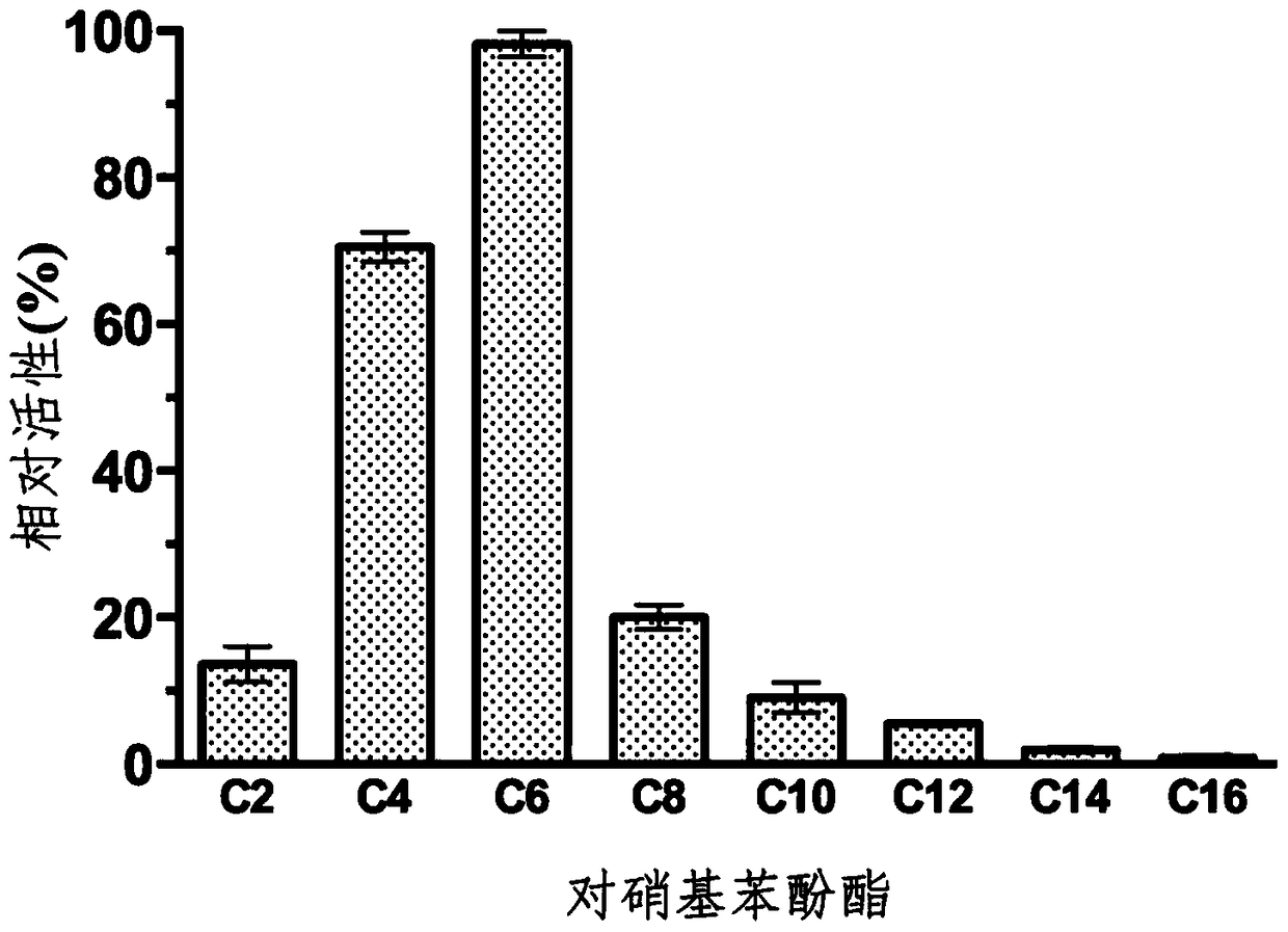 A new deep-sea low-temperature salt-tolerant esterase and its application