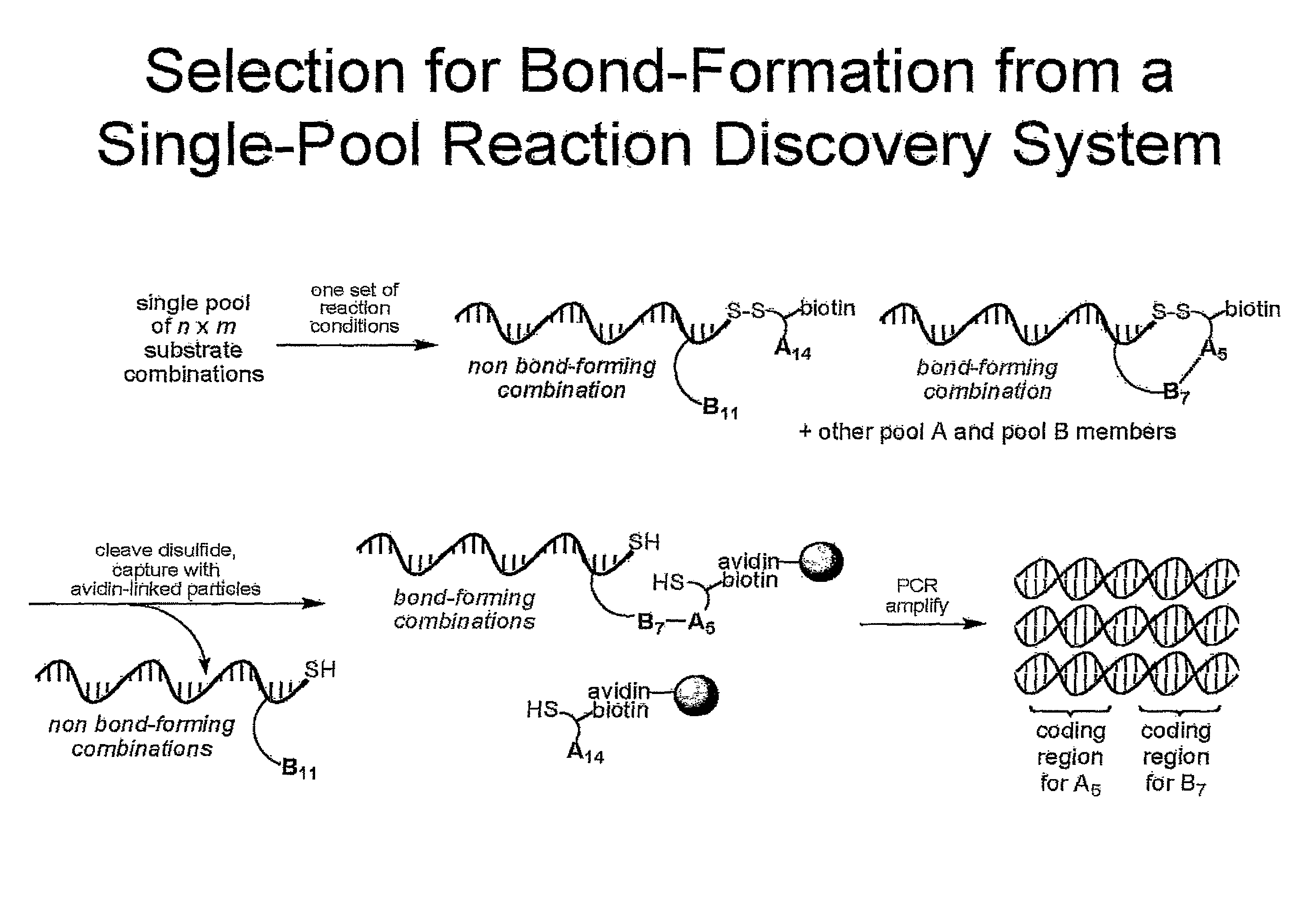 Reaction discovery system