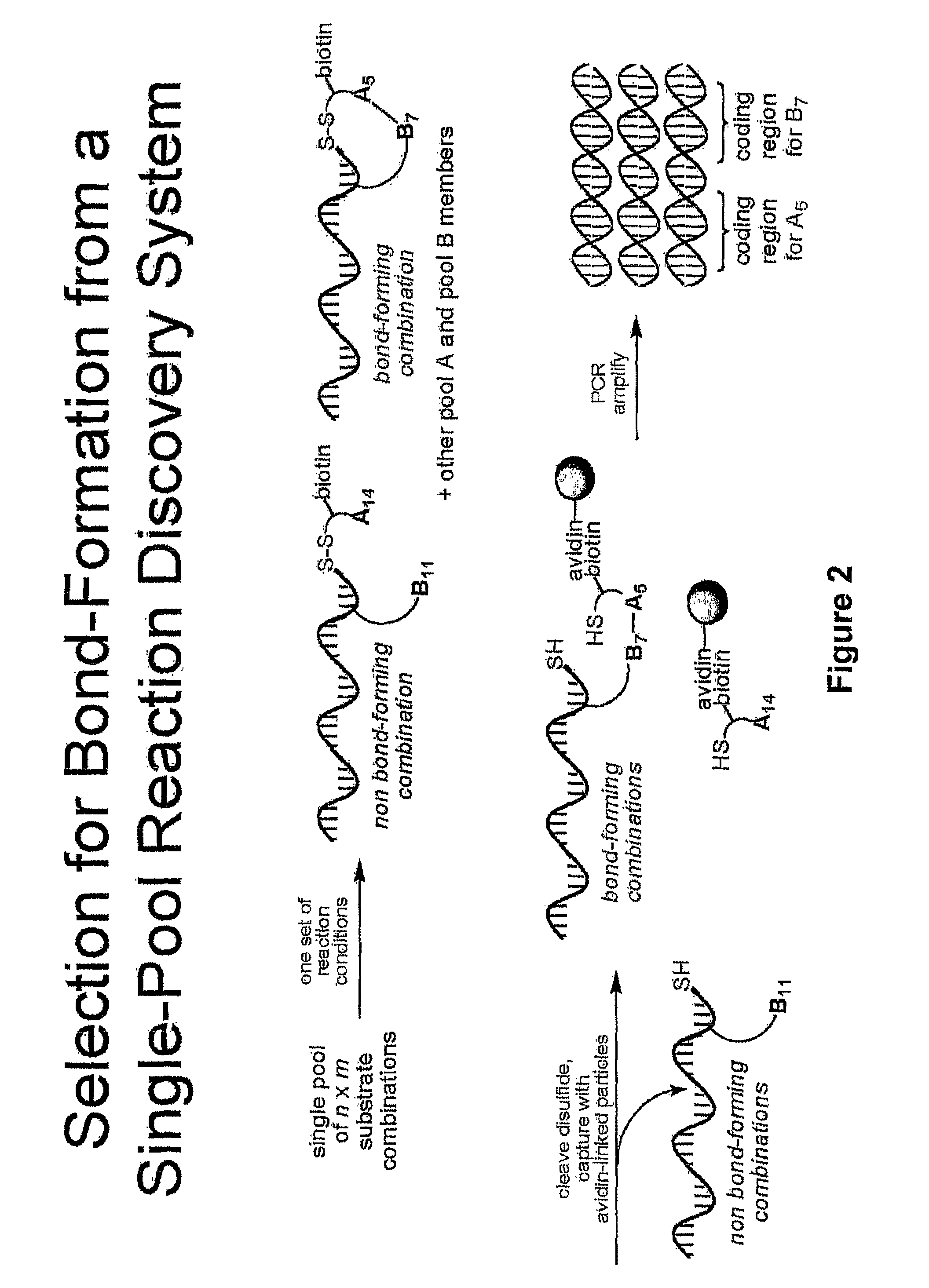 Reaction discovery system