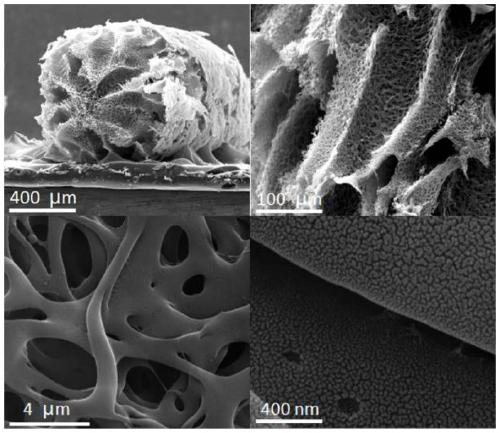 Preparation method and application of nitrogen-doped porous carbon fiber material