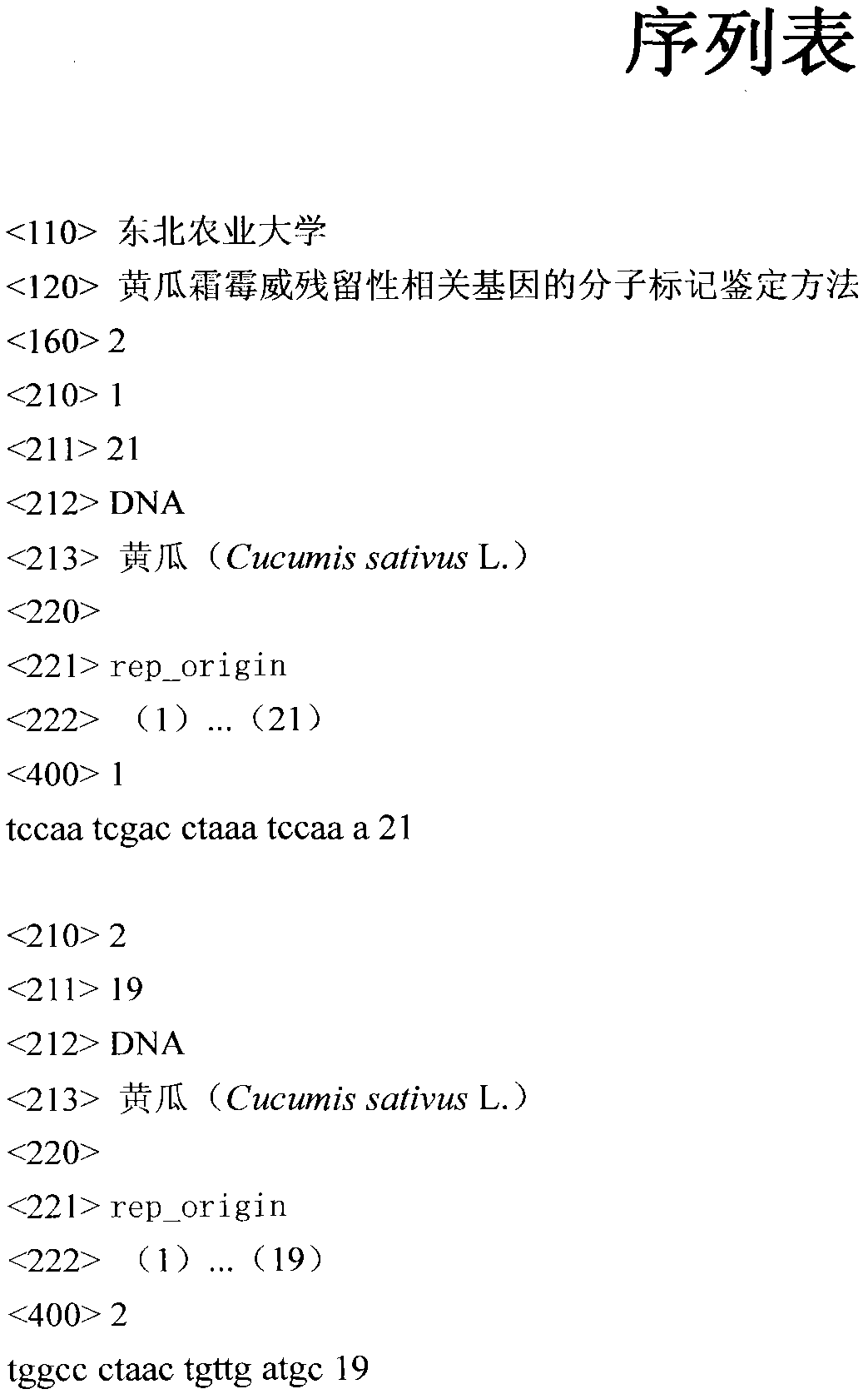 Molecular marker authenticating method for related gene of cucumber propamocarb residue