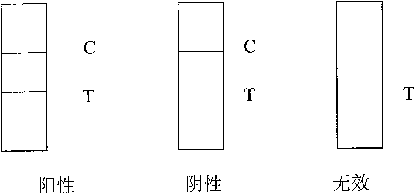 Colloidal gold detection test paper for ricin, preparation method thereof and application thereof
