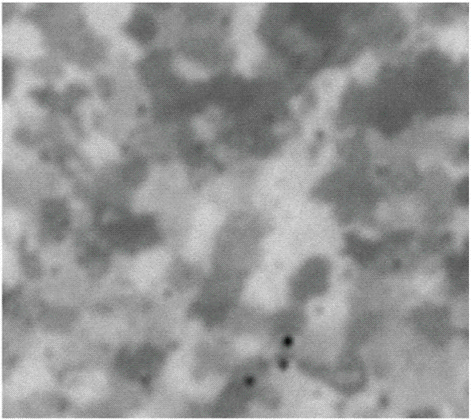 Method and device for measuring morphology of polycrystalline thin film