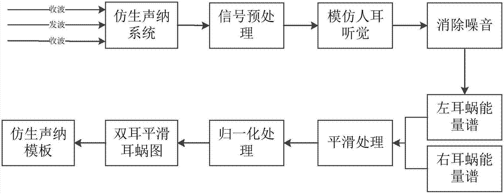 Bionic sonar two-dimensional experience map drawing method, storage medium and equipment