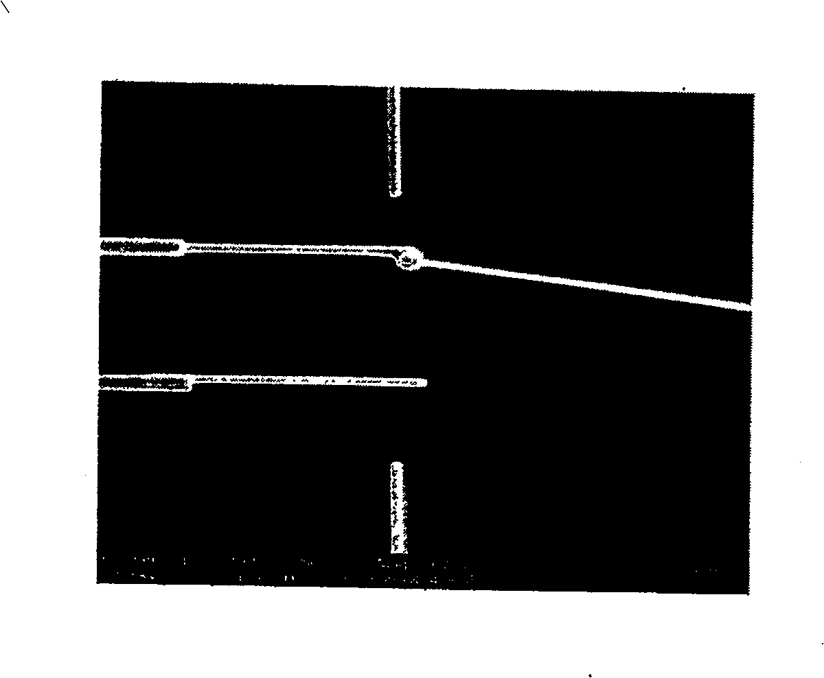 Metal silicide nano-wire and its making method