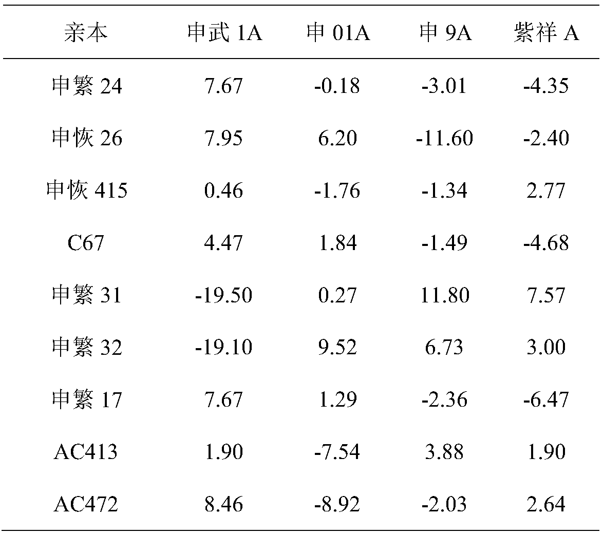 Prediction method of yield stability of hybrid round-grained nonglutinous rice combinations