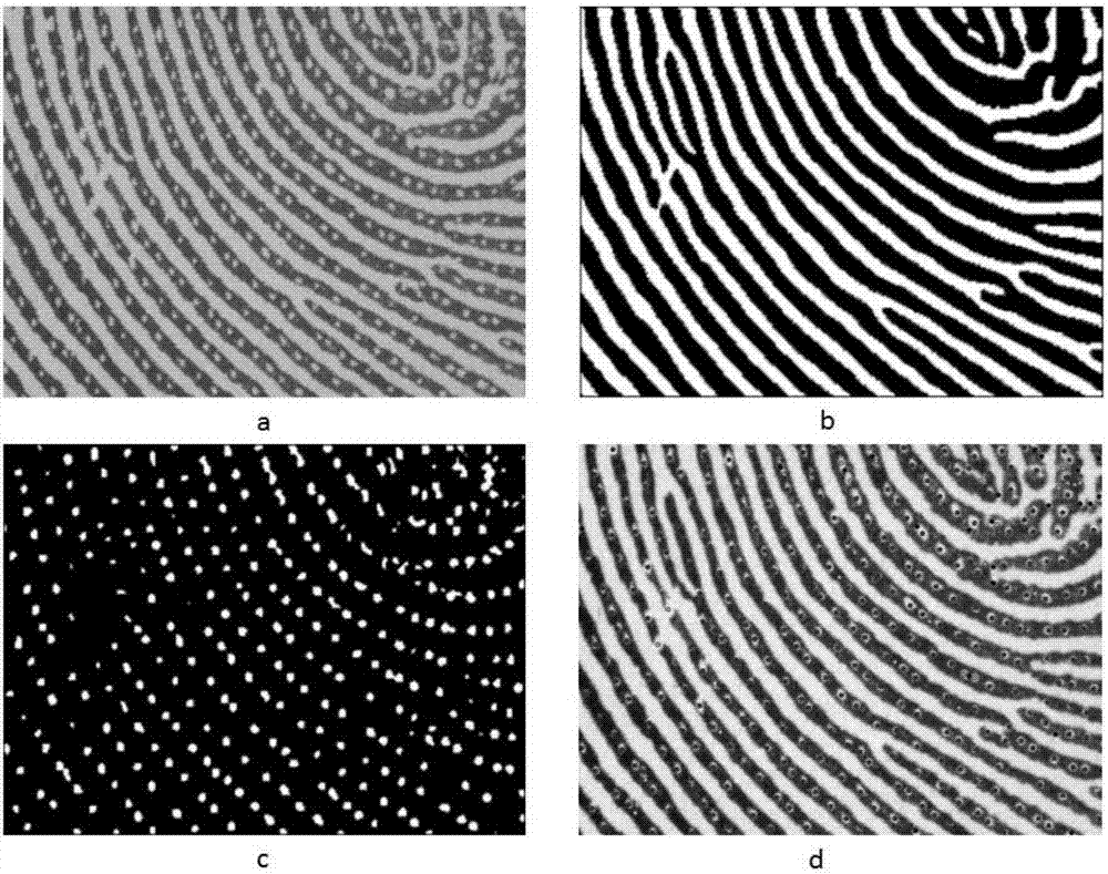 Full convolutional neural network-based fingerprint sweat pore extraction method