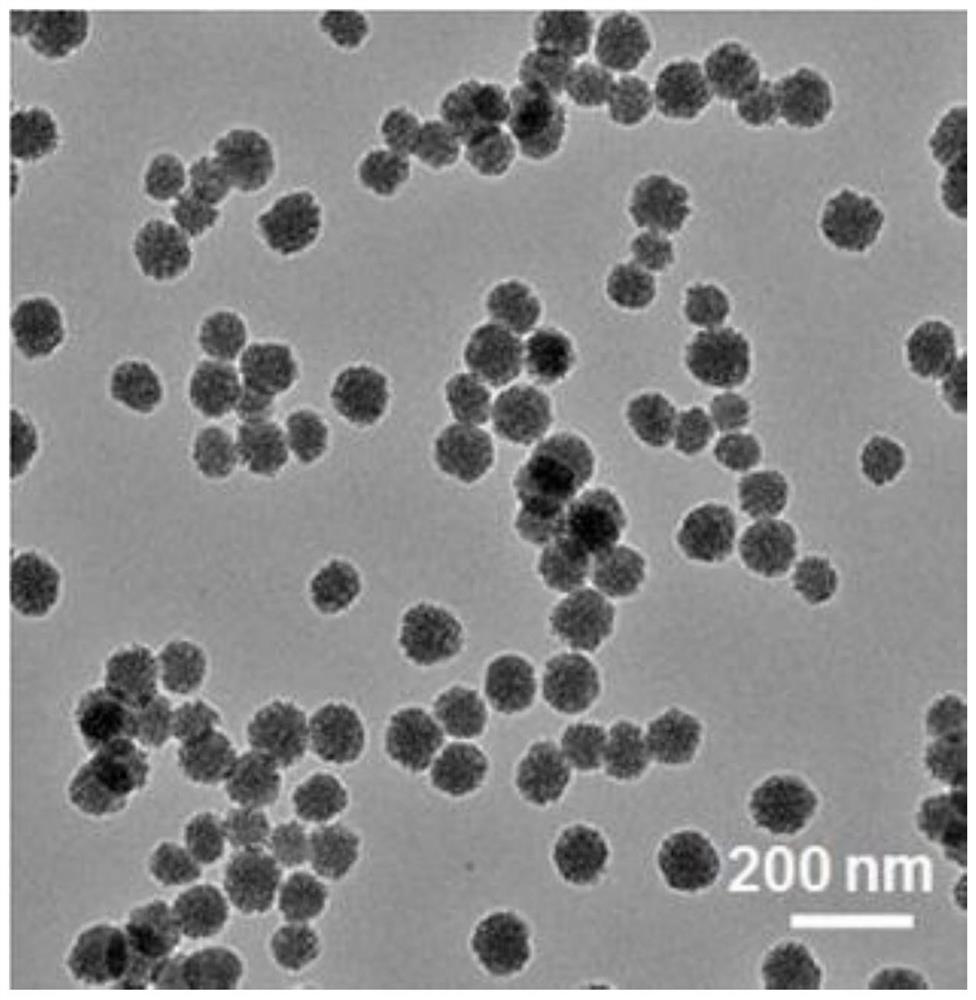 Mesoporous silicon nanoparticles capable of responding to X-rays to release drugs as well as preparation method and application of mesoporous silicon nanoparticles