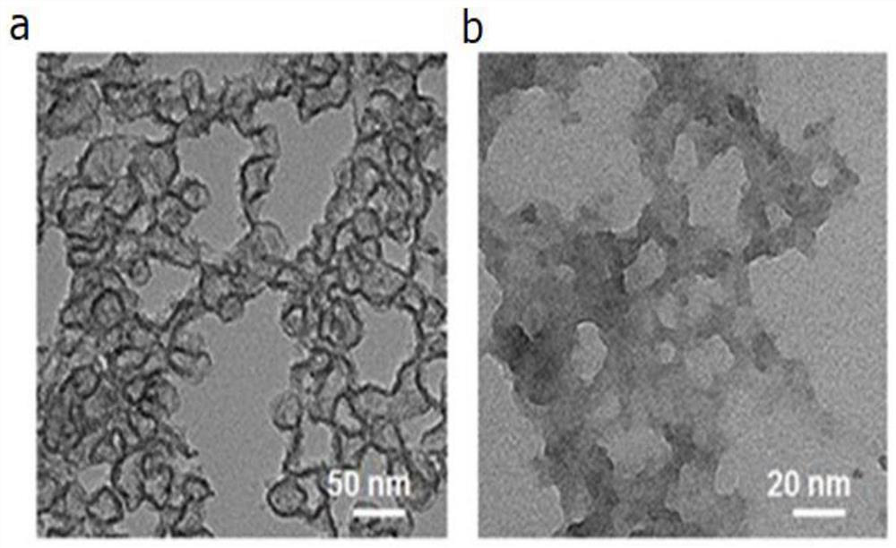 Mesoporous silicon nanoparticles capable of responding to X-rays to release drugs as well as preparation method and application of mesoporous silicon nanoparticles