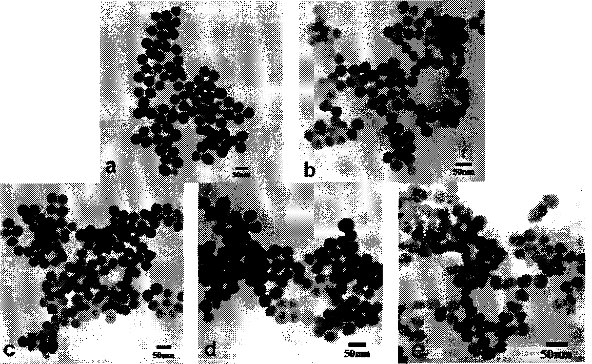 Nanometer europium fluorescent particle with performance of visible light excitation, preparation method and application thereof