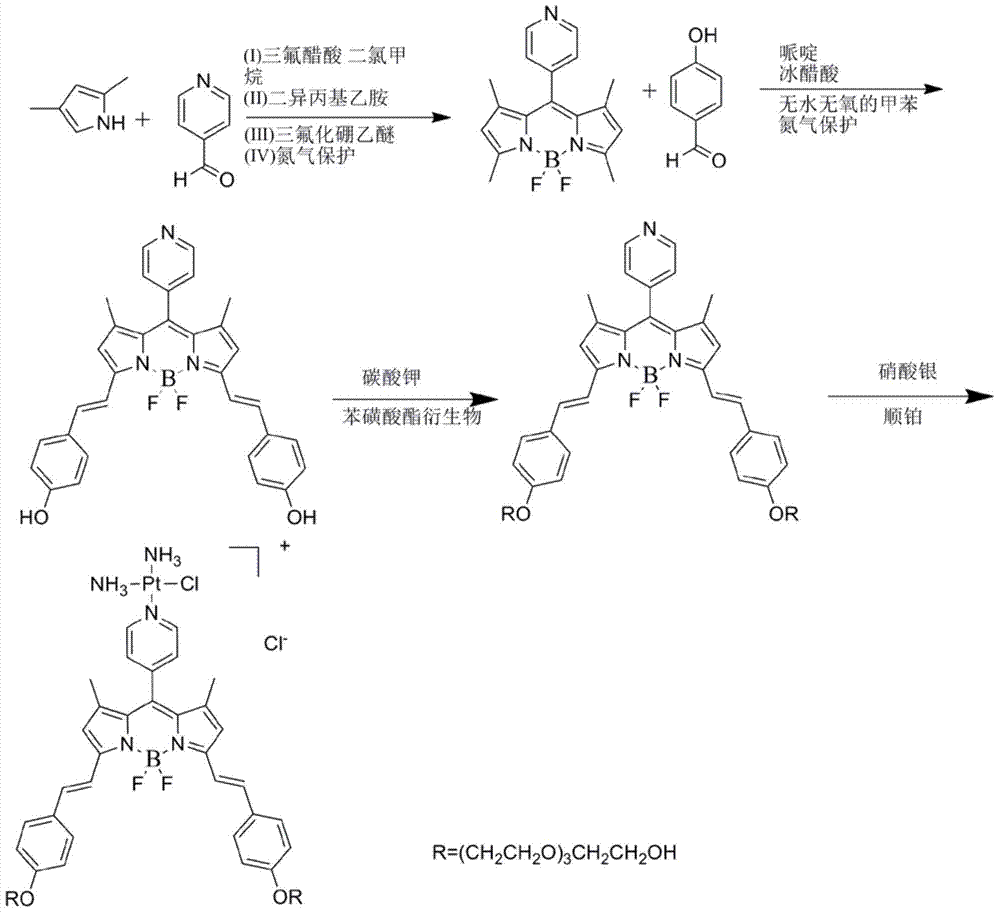 Photodynamically active platinum compound with near-infrared absorption, preparation method and application thereof