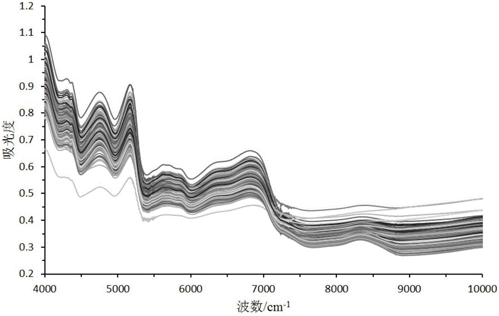 Method for rapidly measuring content of five saponins in radix-notoginseng medicinal materials with near infrared spectroscopy method and application